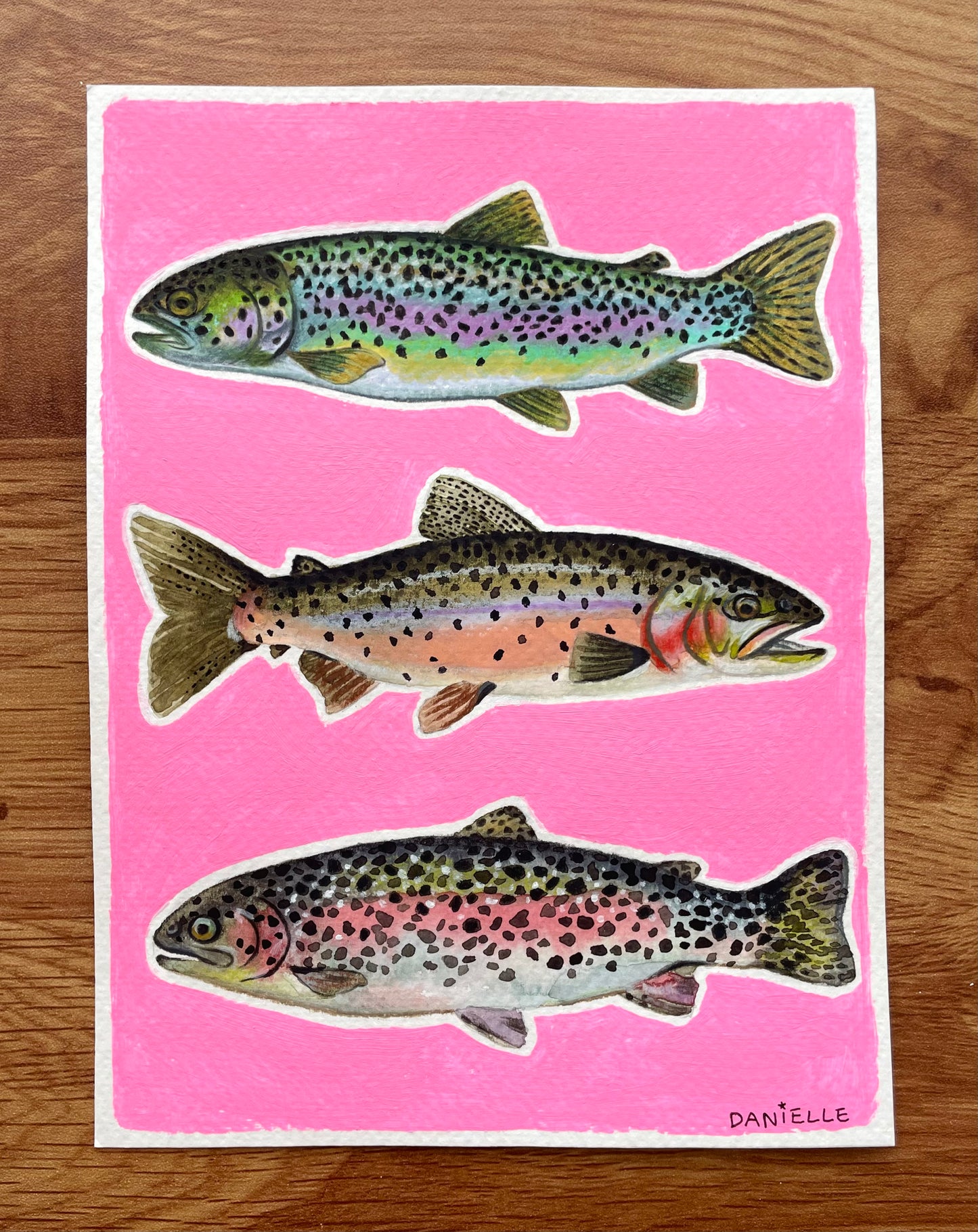 Pink Trout Original Painting