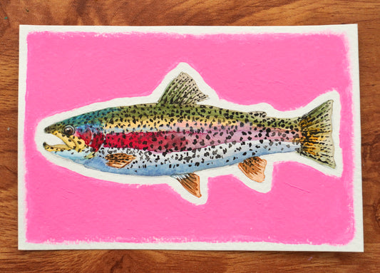 Mini Pink Trout Original Painting #2