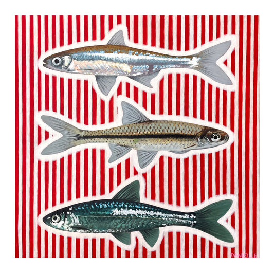 Striped Minnows Print